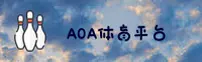 aoa体育官方网站